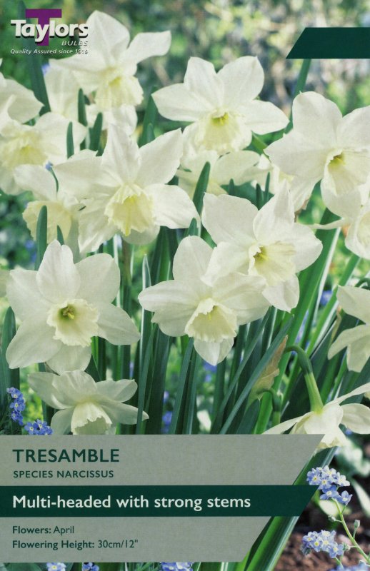 TP1131-Tresamble