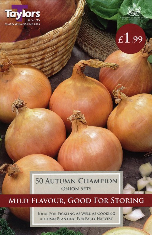 VP103 Autumn Champion