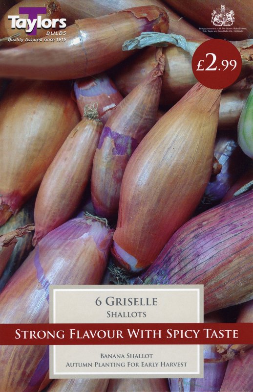 VP121 Shallot Griselle