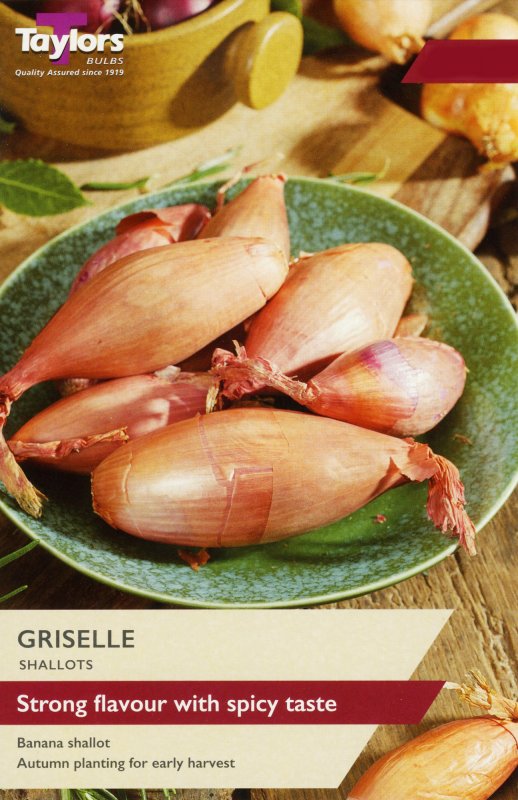 VP121-Griselle