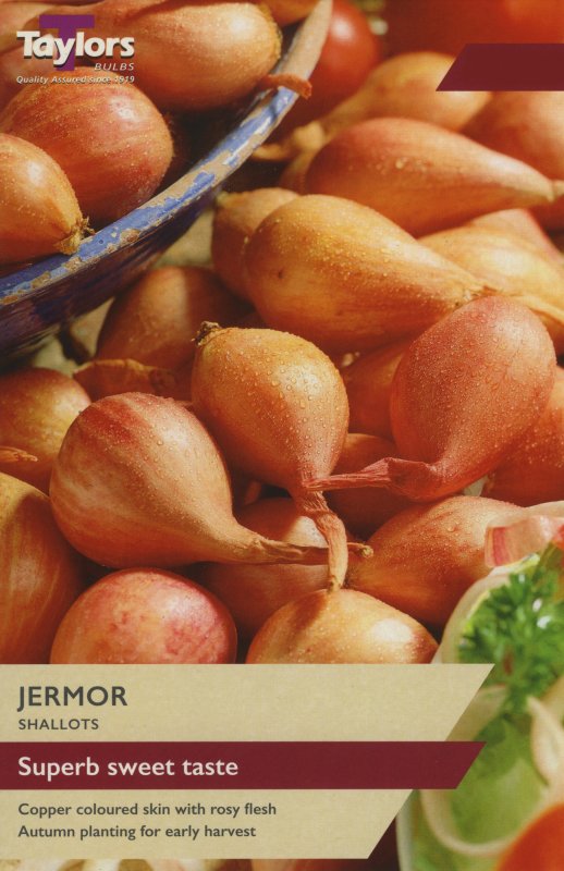 VP120 Jermor