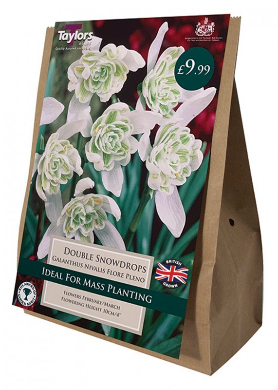 AV342 - Galanthus Double Bag