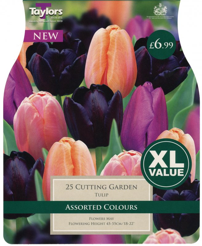 XL117 Tulip Cutting Garden