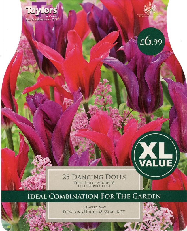 XL108 Dancing Dolls