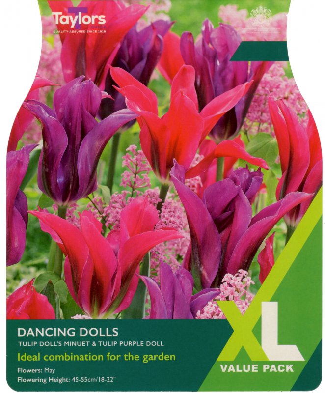 XL108-Dancing-Dolls-scaled