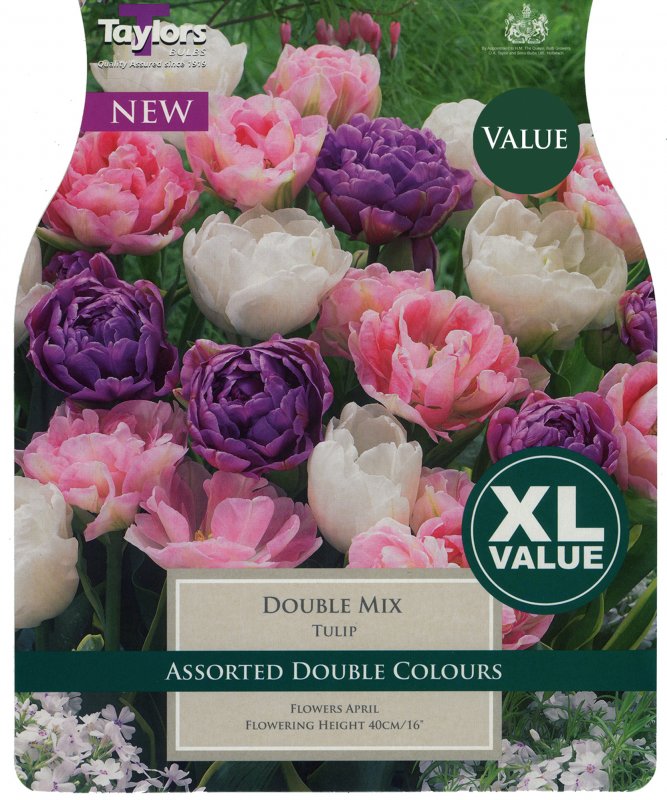 XL445 Double Mix.jpeg