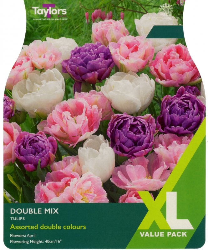 XL445-Double-Mix-scaled