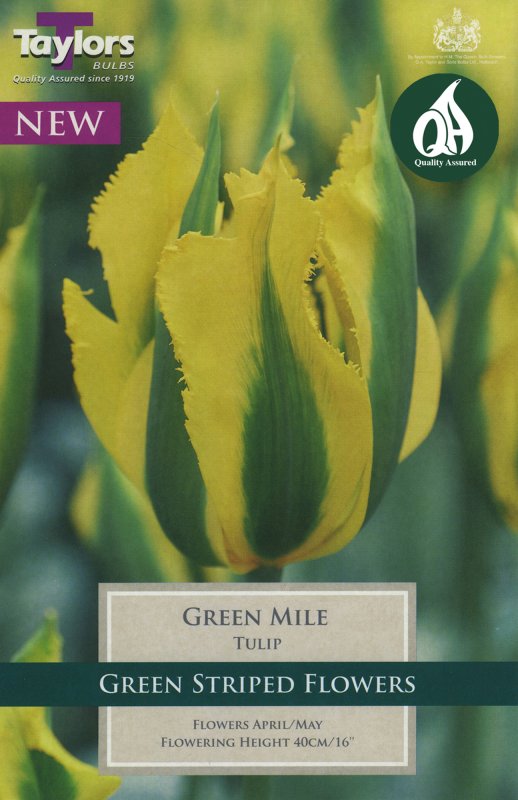 TP584 Green Mile.jpeg