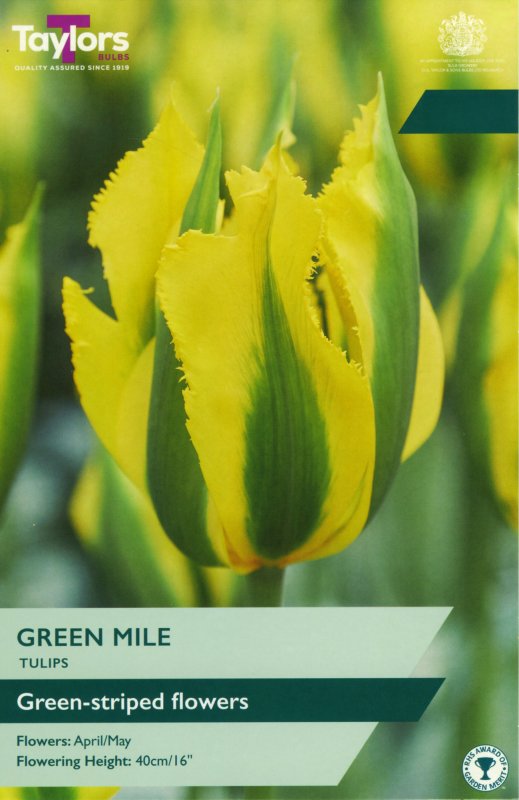 TP584-Green-Mile