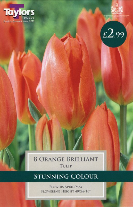 TP548 Orange Brilliant