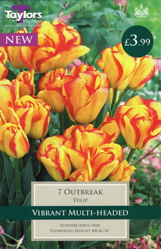 TP398 Outbreak