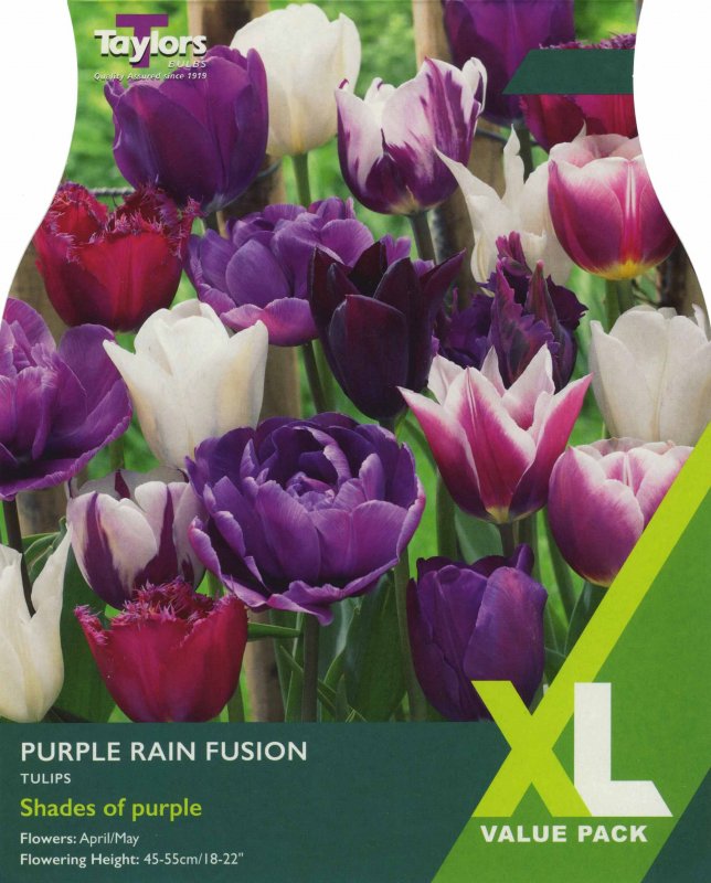 XL391 Purple Rain