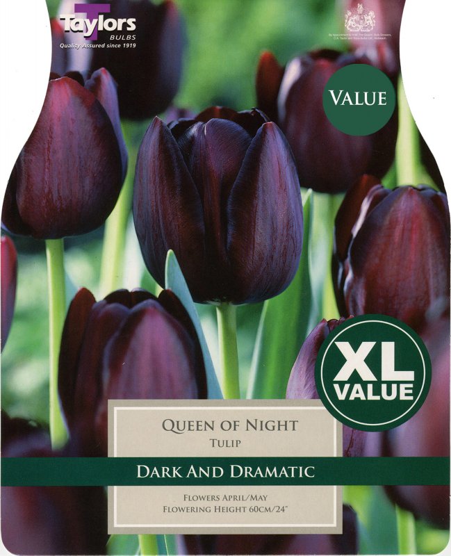 XL422 Queen of Night