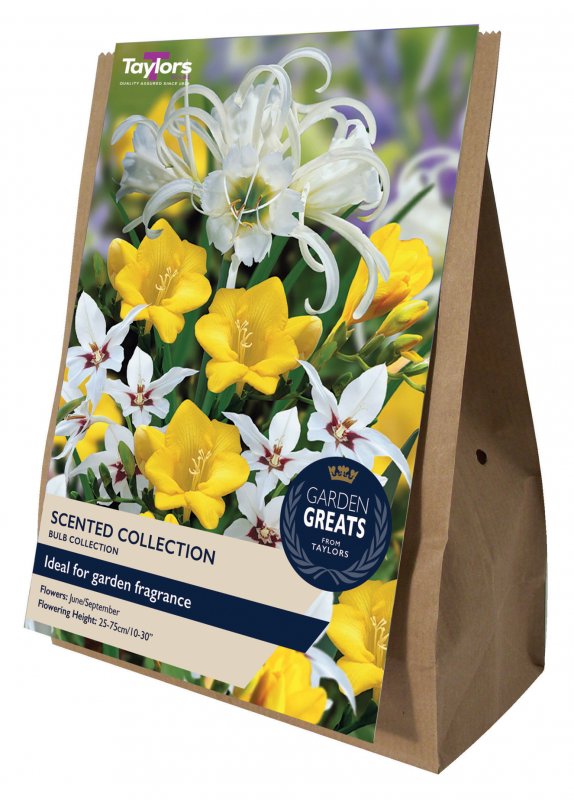 SV305-Scented-Collection-scaled