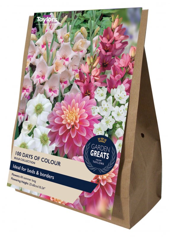 SV306-100-Days-of-Colour-scaled