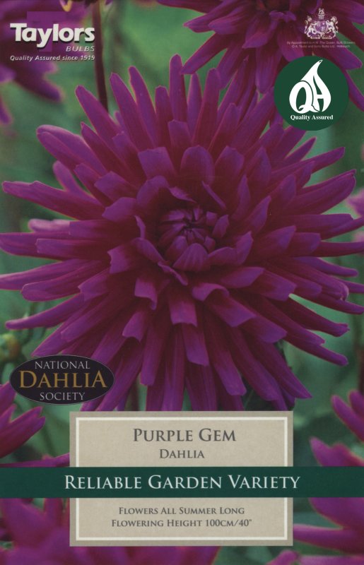 TS313 Purple Gem