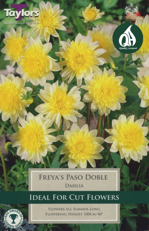 TS453 Freya Paso Doble