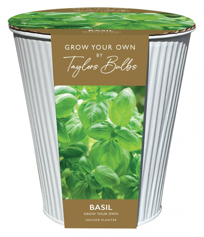 DP105 Basil Zinc Planter