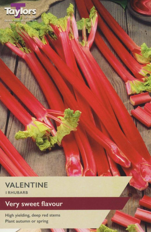 SVEG17D Rhubarb Valentine