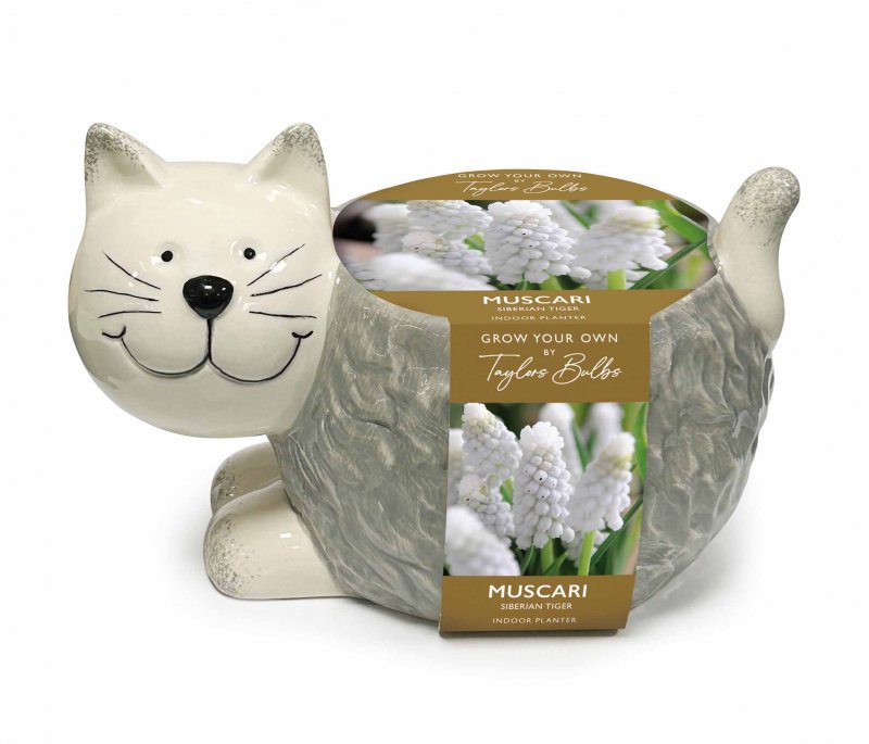 AH96 - Cat Planter NEW