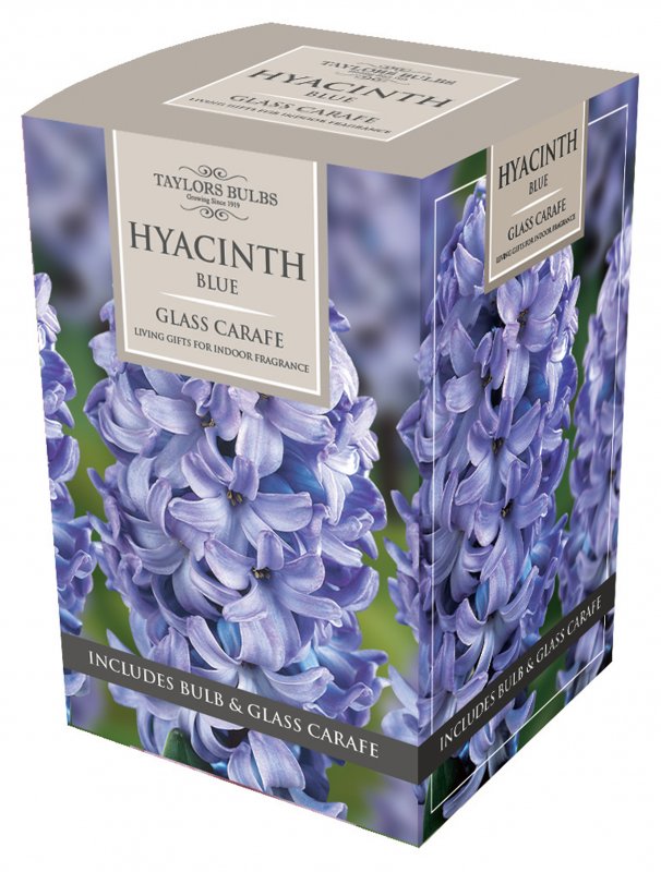 013AH78 - Carafe Box Blue