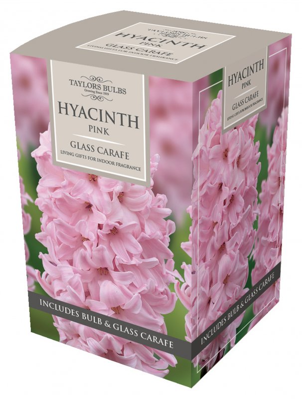 014AH78 - Carafe Box Pink