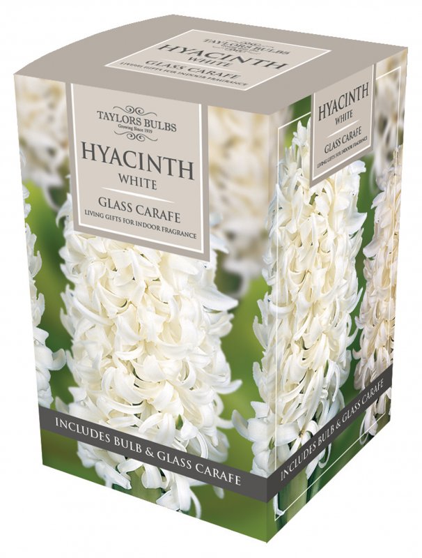 015AH78 - Carafe Box White