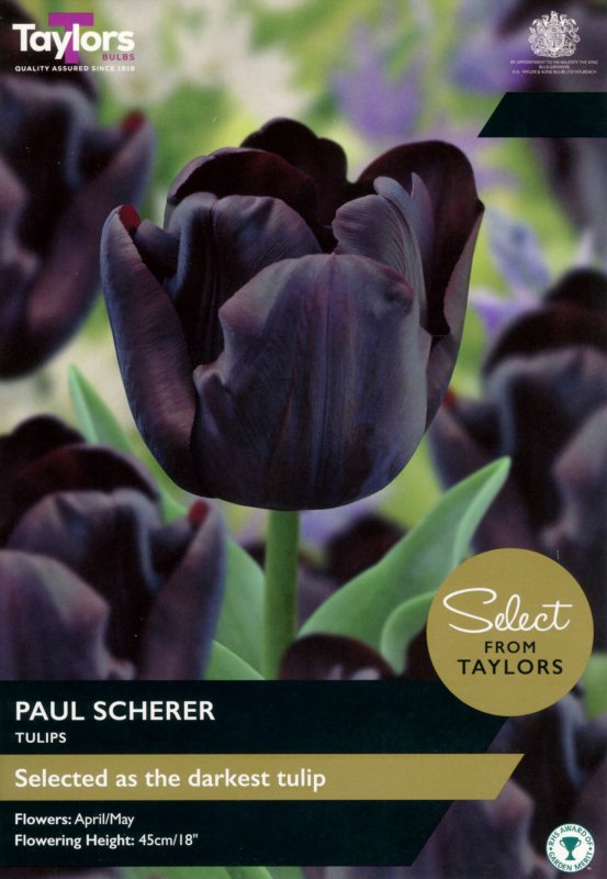 SE2012-Paul-Scherer-scaled