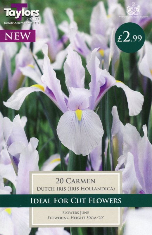 251Carmen