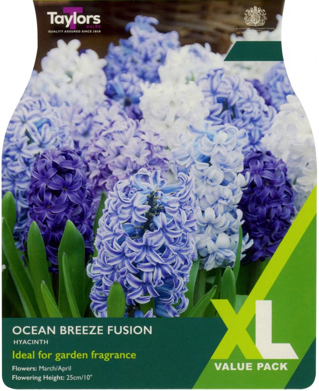 XL360-Ocean-Breeze-scaled