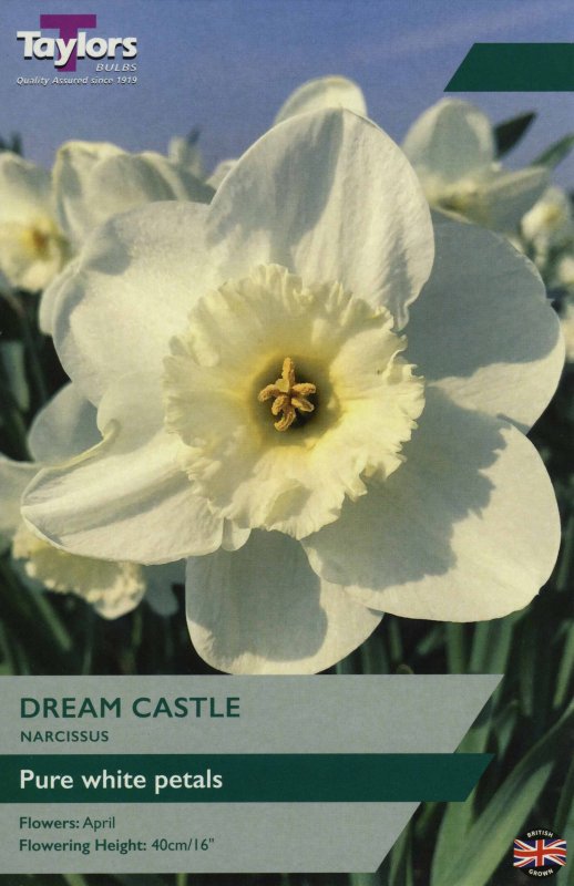 TP112 Dream Castle