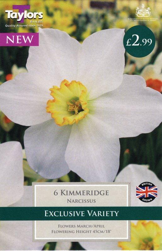 TP118 Kimmeridge