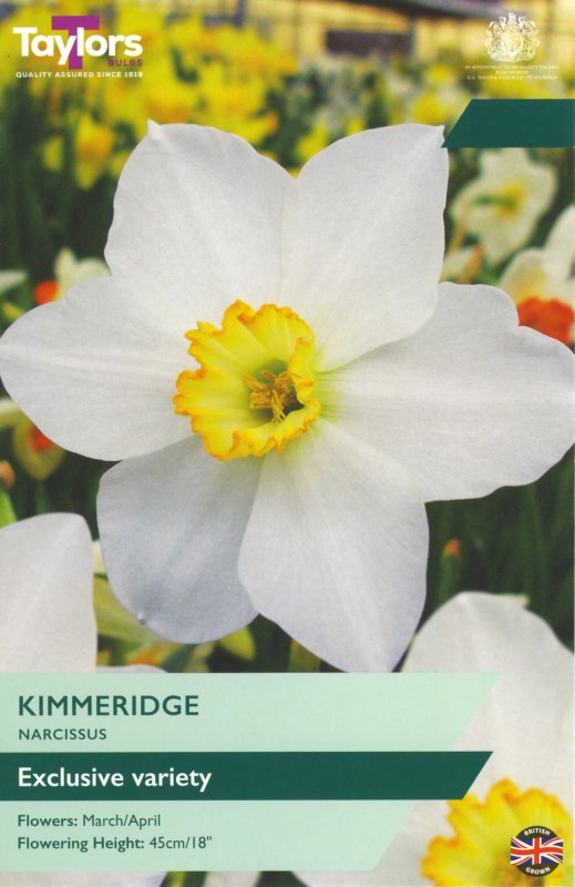 TP118-Kimmeridge
