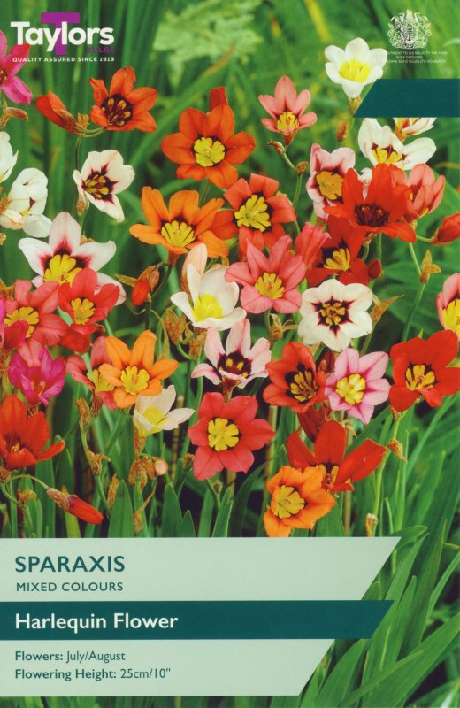 TP817-Sparaxis