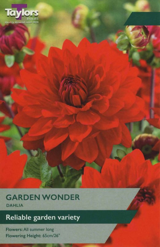 TS329 Garden Wonder