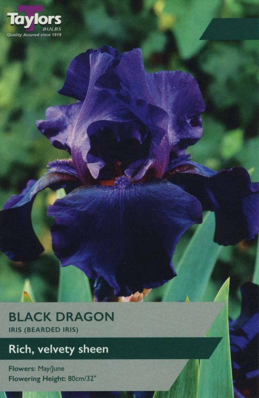 TS851 Iris Black Dragon