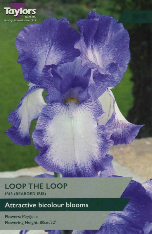 TS870 Iris Loop The Loop
