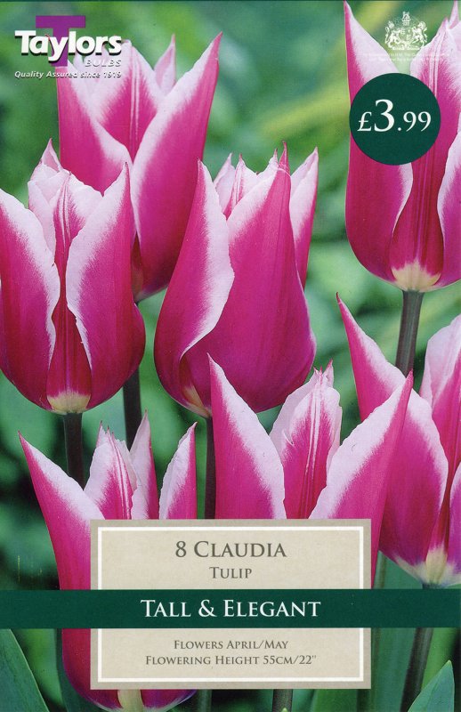 TP483 Claudia