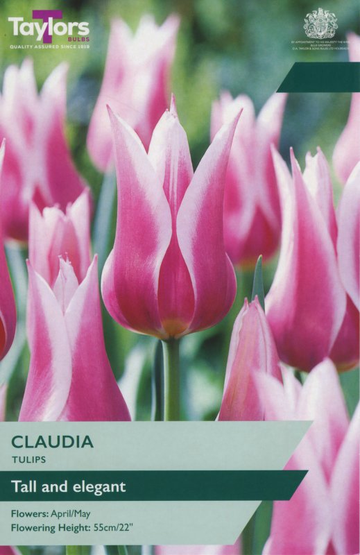 TP483-Claudia