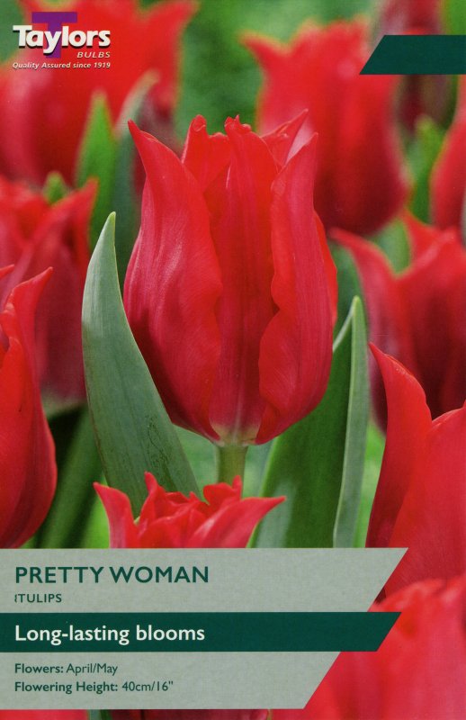 TP475 Pretty Woman