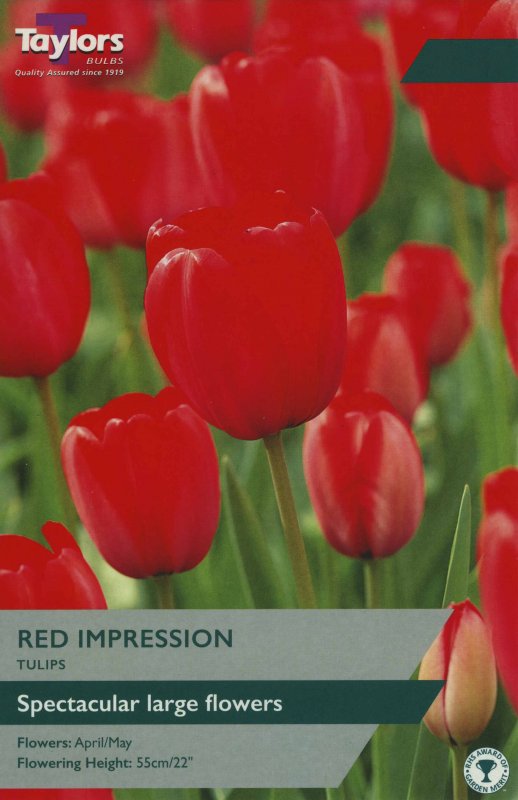TP377 Red Impression