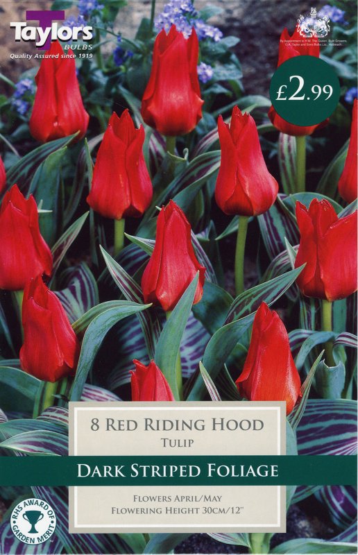 TP522 Red Riding Hood