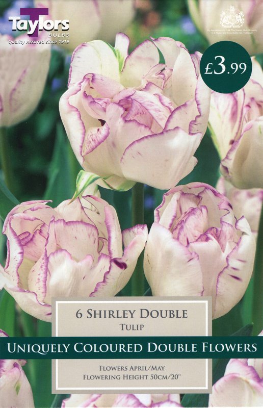 TP2159 Shirley Double001