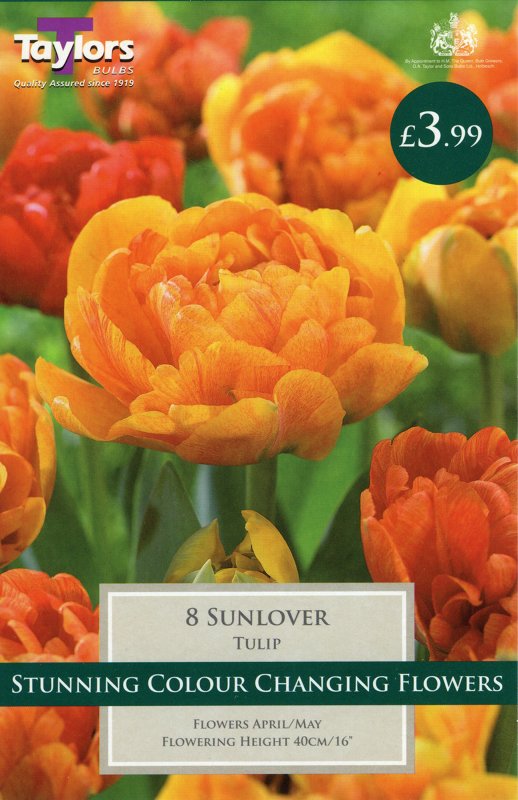 TP5617 Sunlover