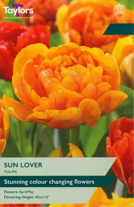 TP5617-Sun-Lover