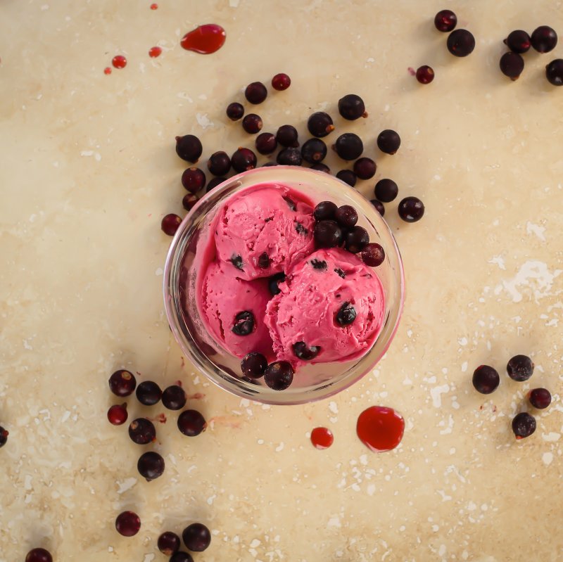 Marshfield Farm Ice Cream Blackcurrant Sorbet Square