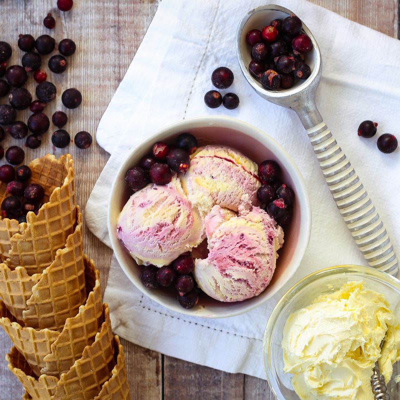 Marshfield Farm Ice Cream Blackcurrants in Clotted Cream Square