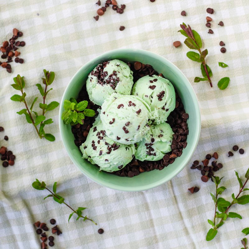 Marshfield Farm Ice Cream Mint Choc Chip Square