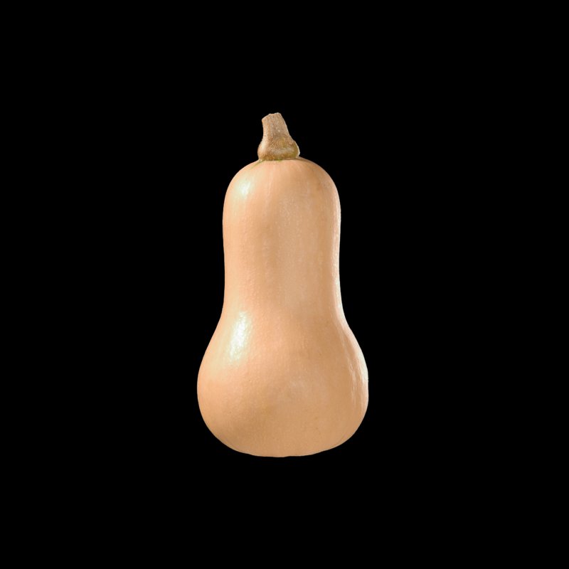 VEG_Squash Butternut Hunter