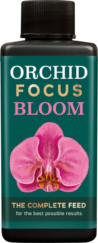 Orchid Focus Bloom - 100 ml